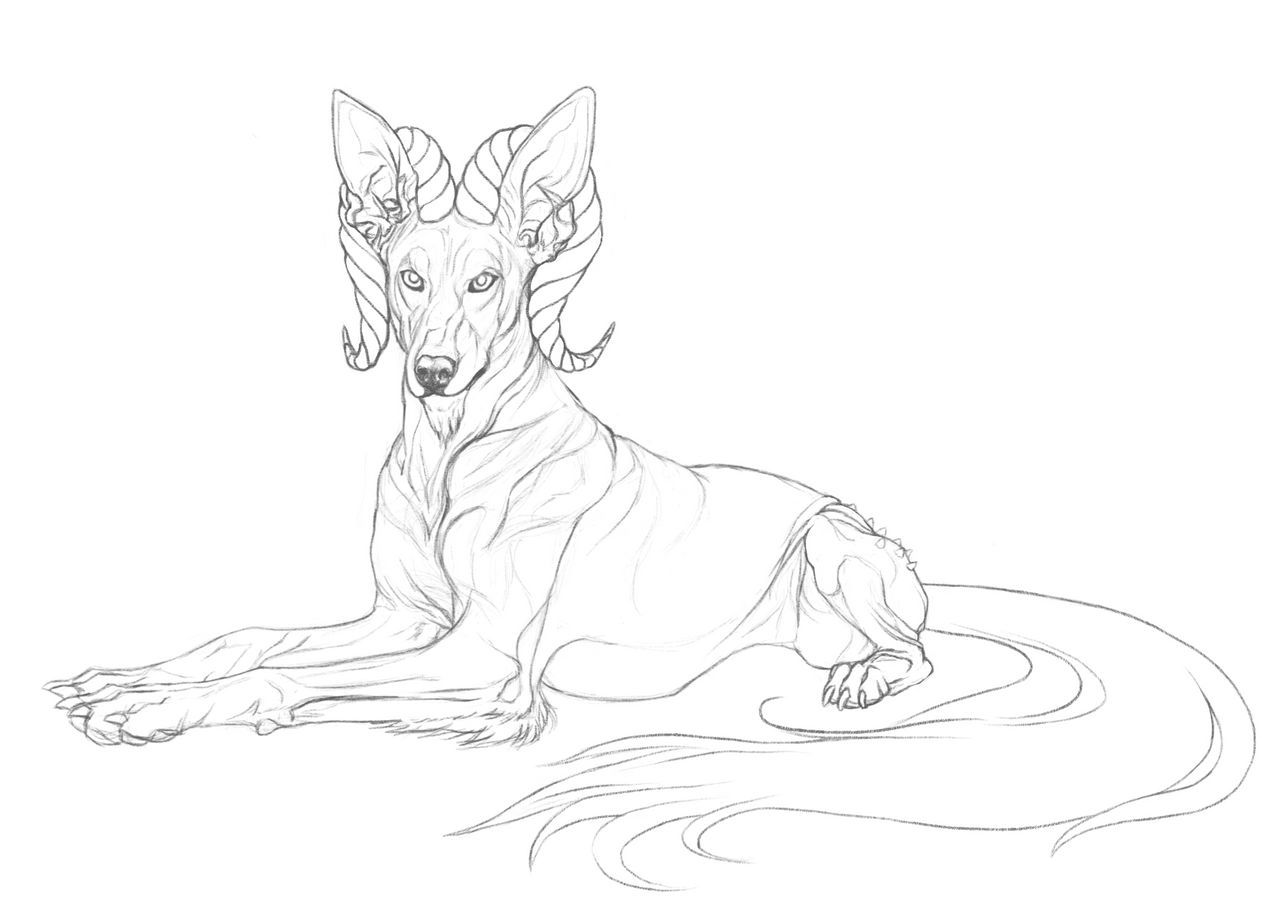 Nizhoni by markedwolf