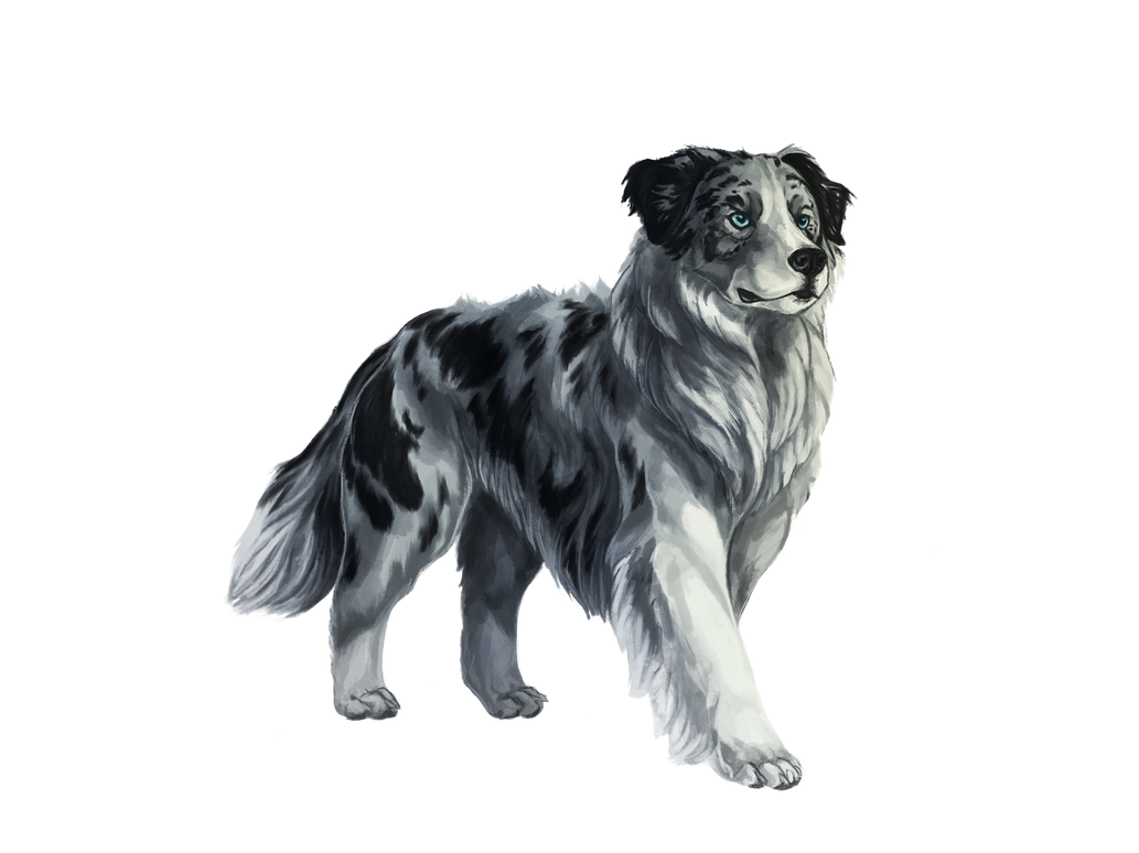 Alere by markedwolf