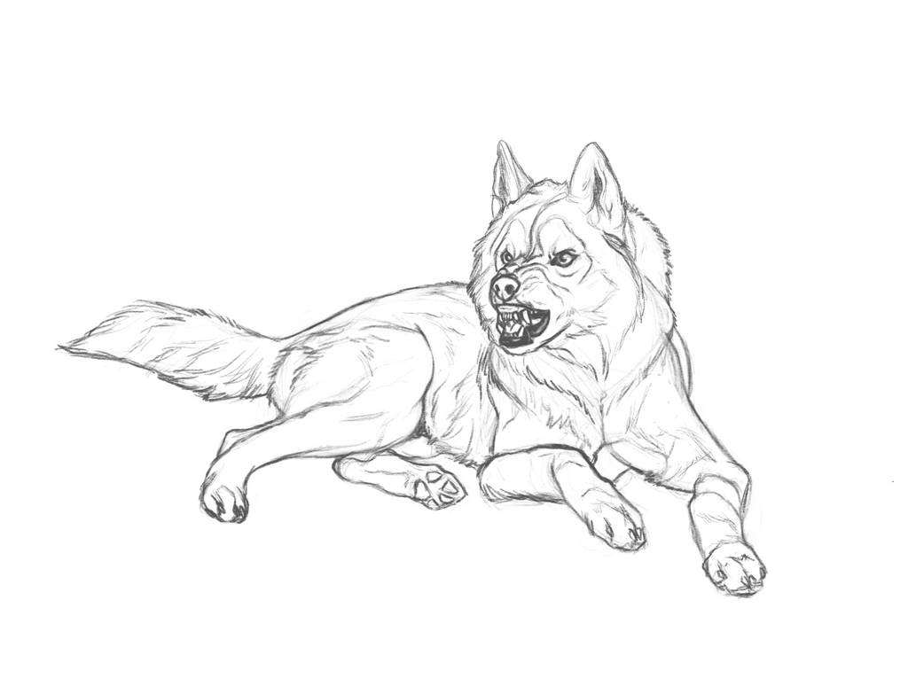 Keelo by markedwolf