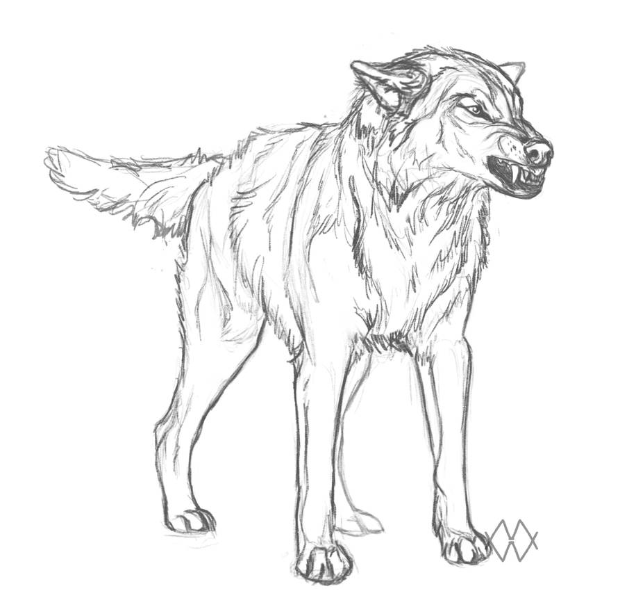 Usaeris by markedwolf
