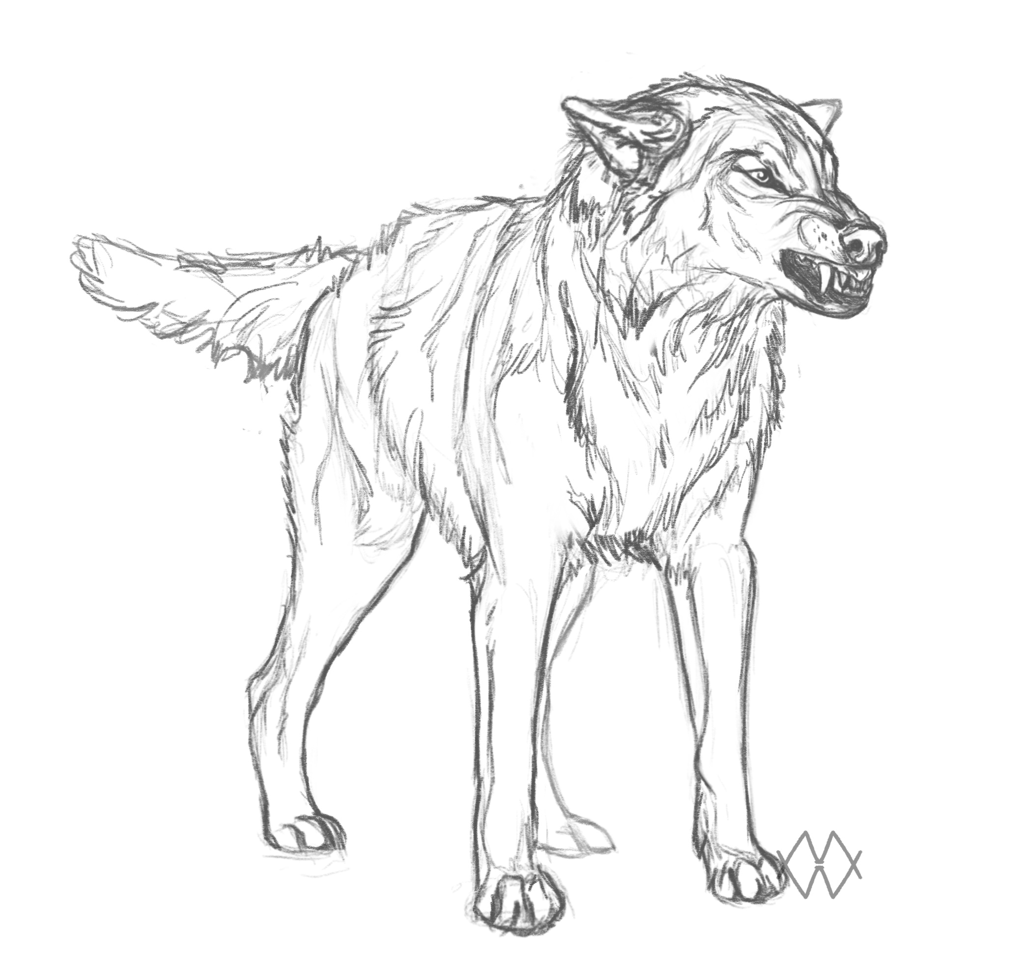 Usaeris by markedwolf