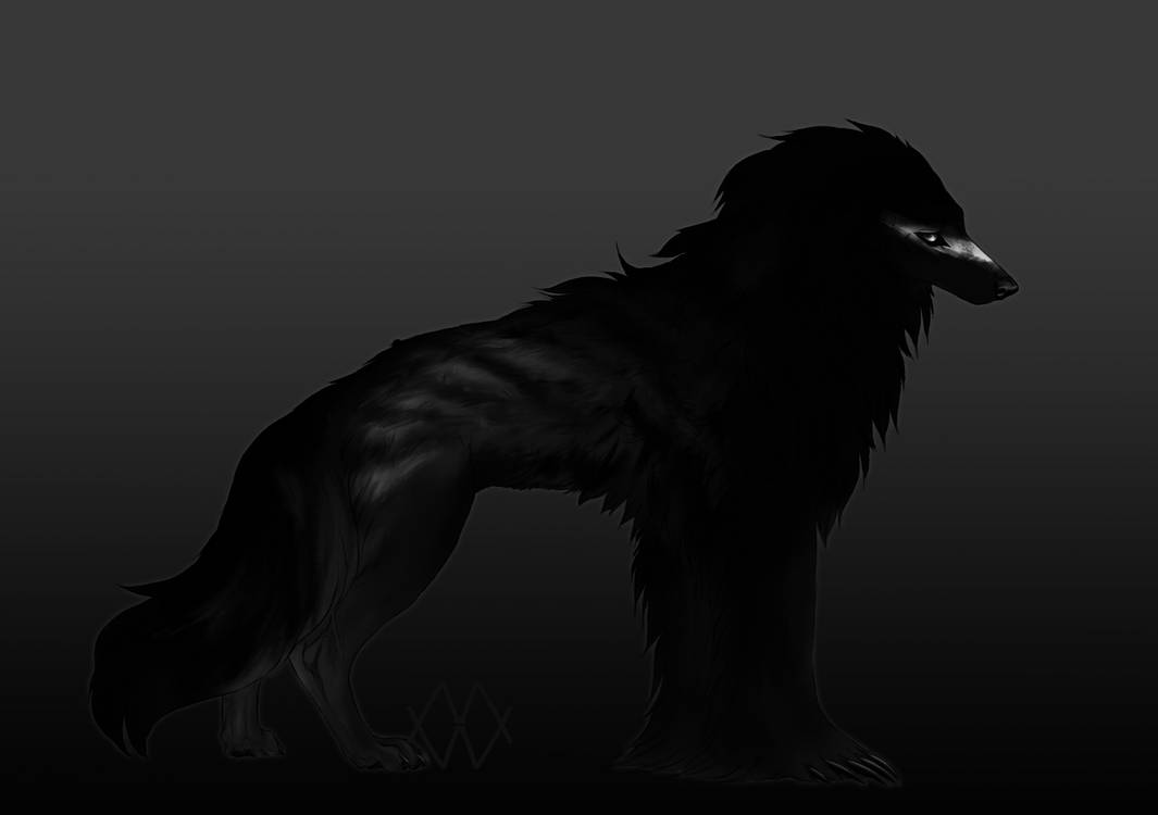 Silky Beardog Auction by markedwolf