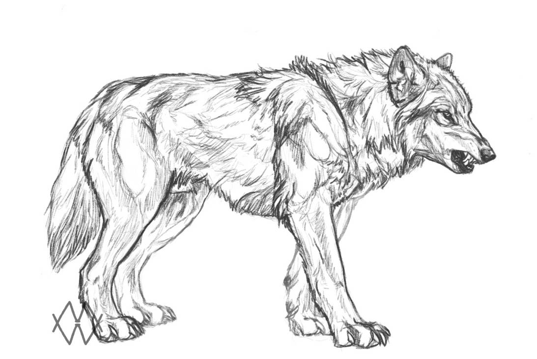Wolfbeast by markedwolf