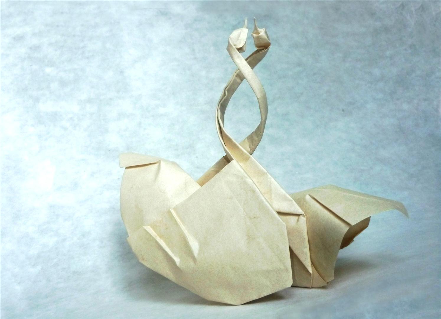 Entangled Swans - Origami