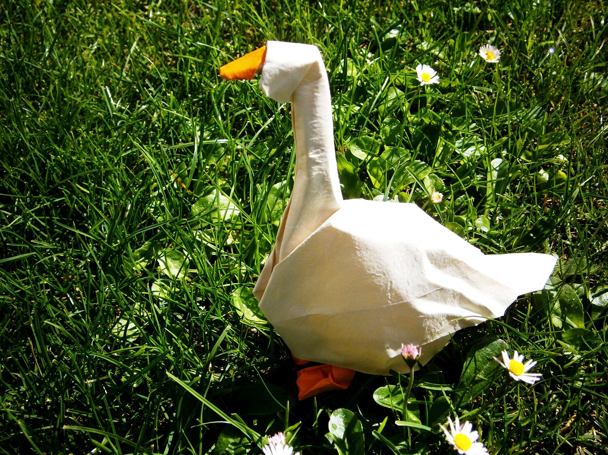 Goose - Origami