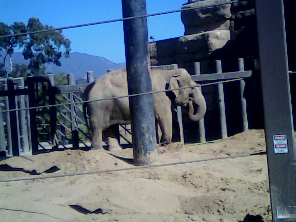 The Santa Barbara Zoo pic 8