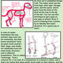 Animal Anatomy Tutorial