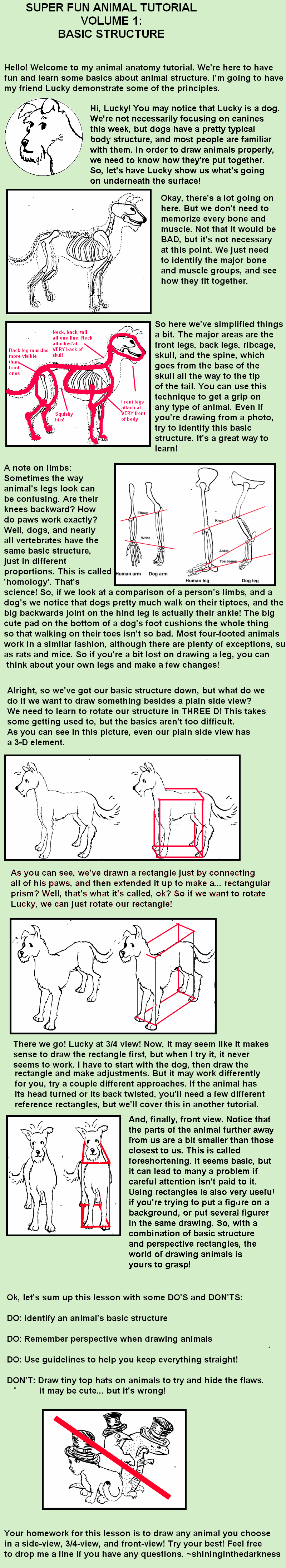 Animal Anatomy Tutorial