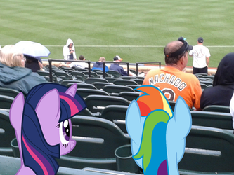 Confound these ponies invading the stadium.