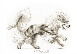 #059 - Arcanine