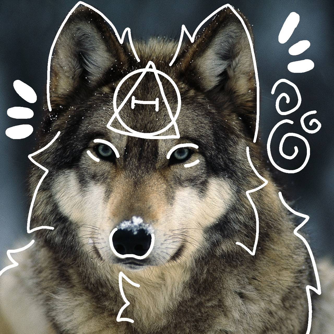 Grey wolf therian PFP I made! :3 by Mr-MC-kitty on DeviantArt