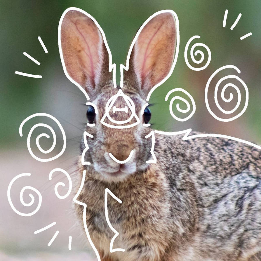 Rabbit therian PFP! ^^ by Mr-MC-kitty on DeviantArt