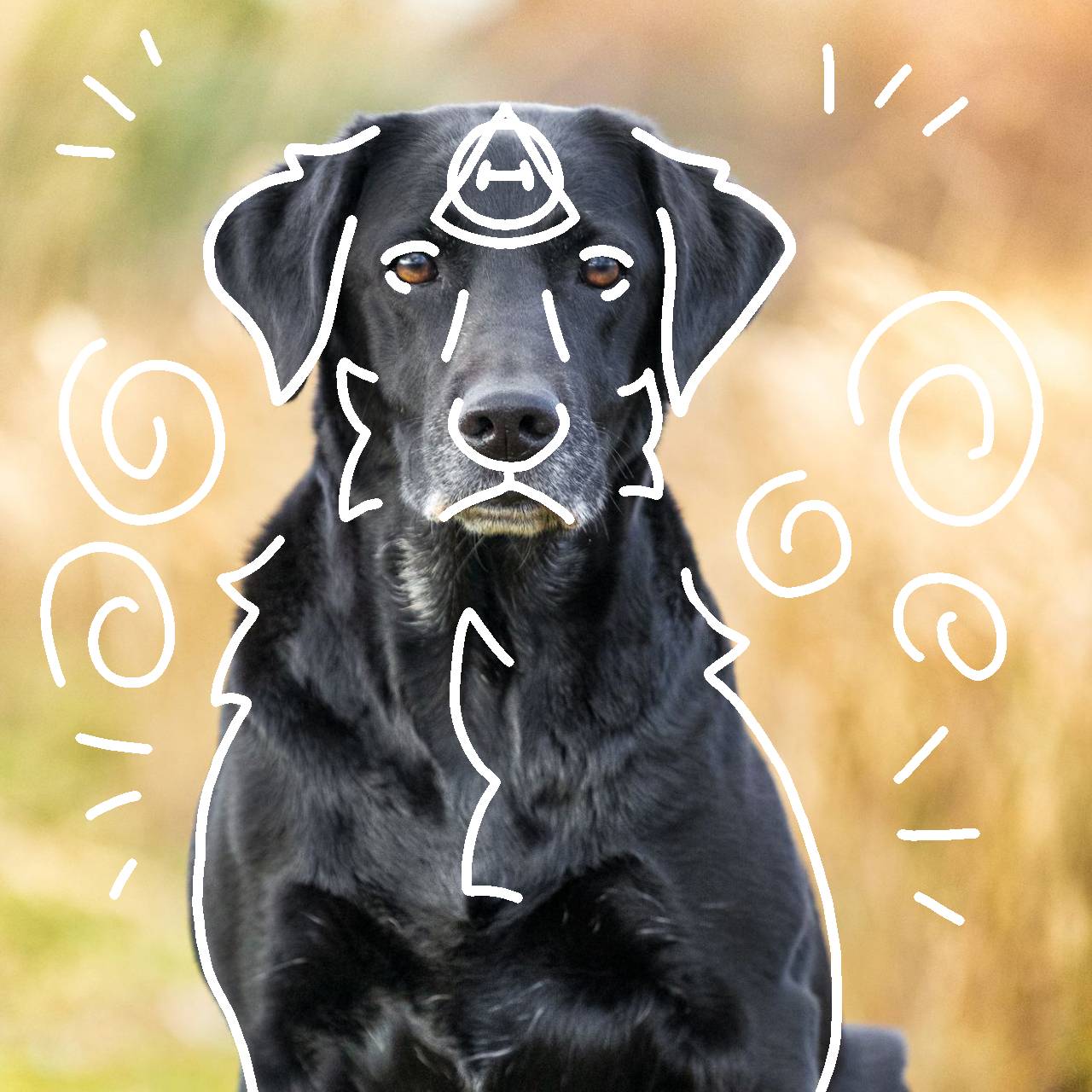 Black Lab Deviantart Black Labrador retriever therian PFP! ^^ by Mr-MC-kitty on DeviantArt