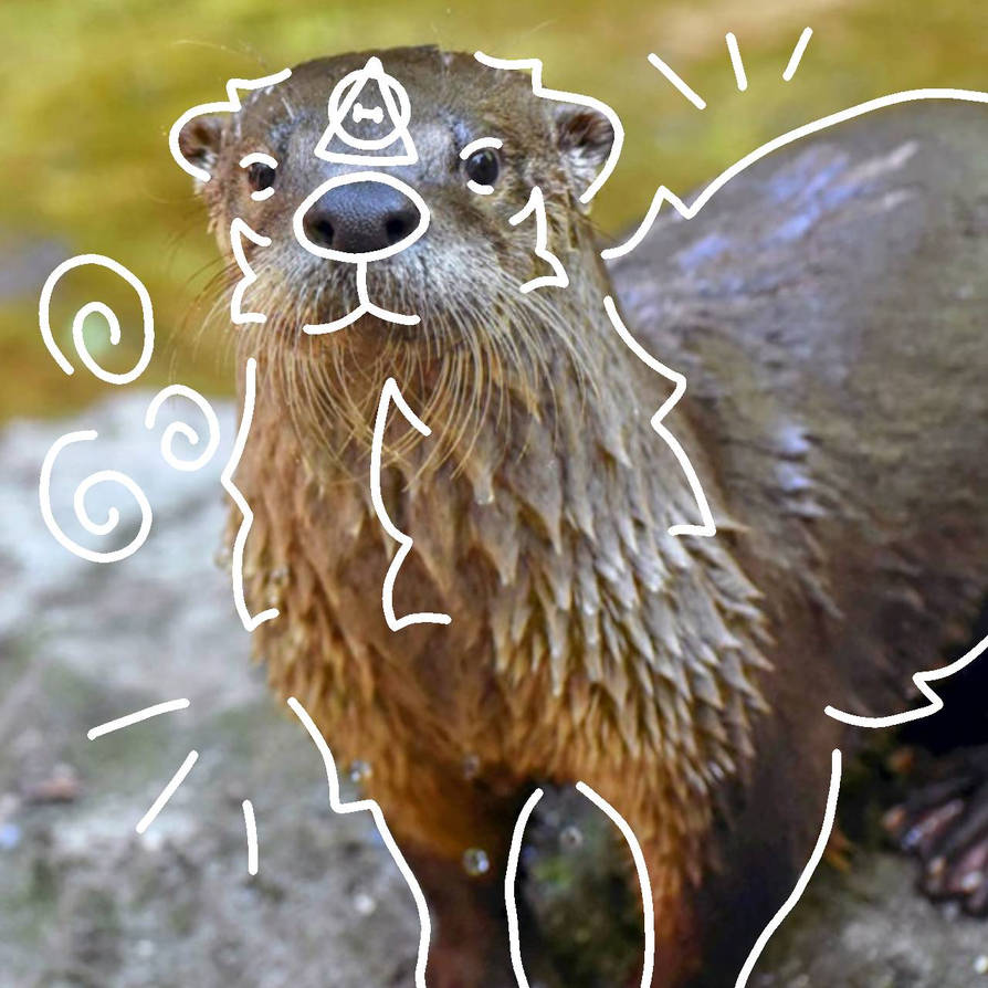 River Otter Therian PFP By Mr MC kitty On DeviantArt river-otter-therian-pfp-by-mr-mc-kitty-on-deviantart