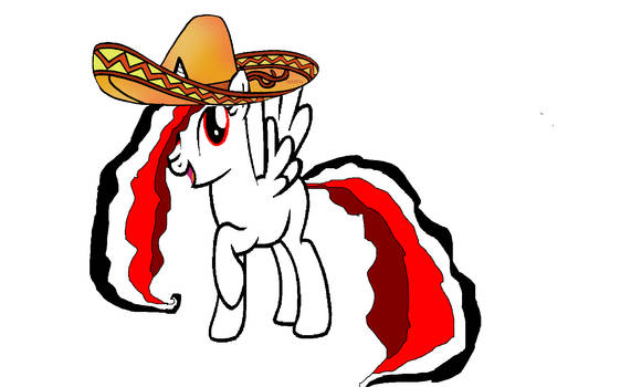 I'm Wear A Mexican Sombrero