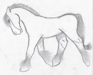 draft horse sketch.