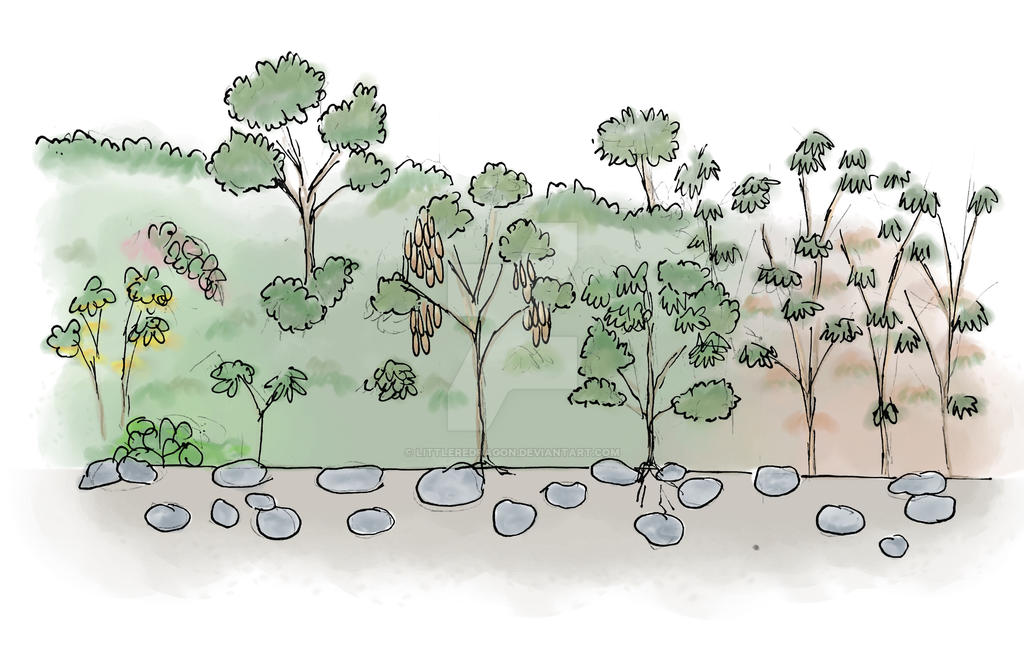 Selva baja caducifolia by littleredragon on DeviantArt Selva baja caducifolia by littleredragon on DeviantArt
