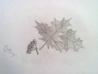 maple leaf