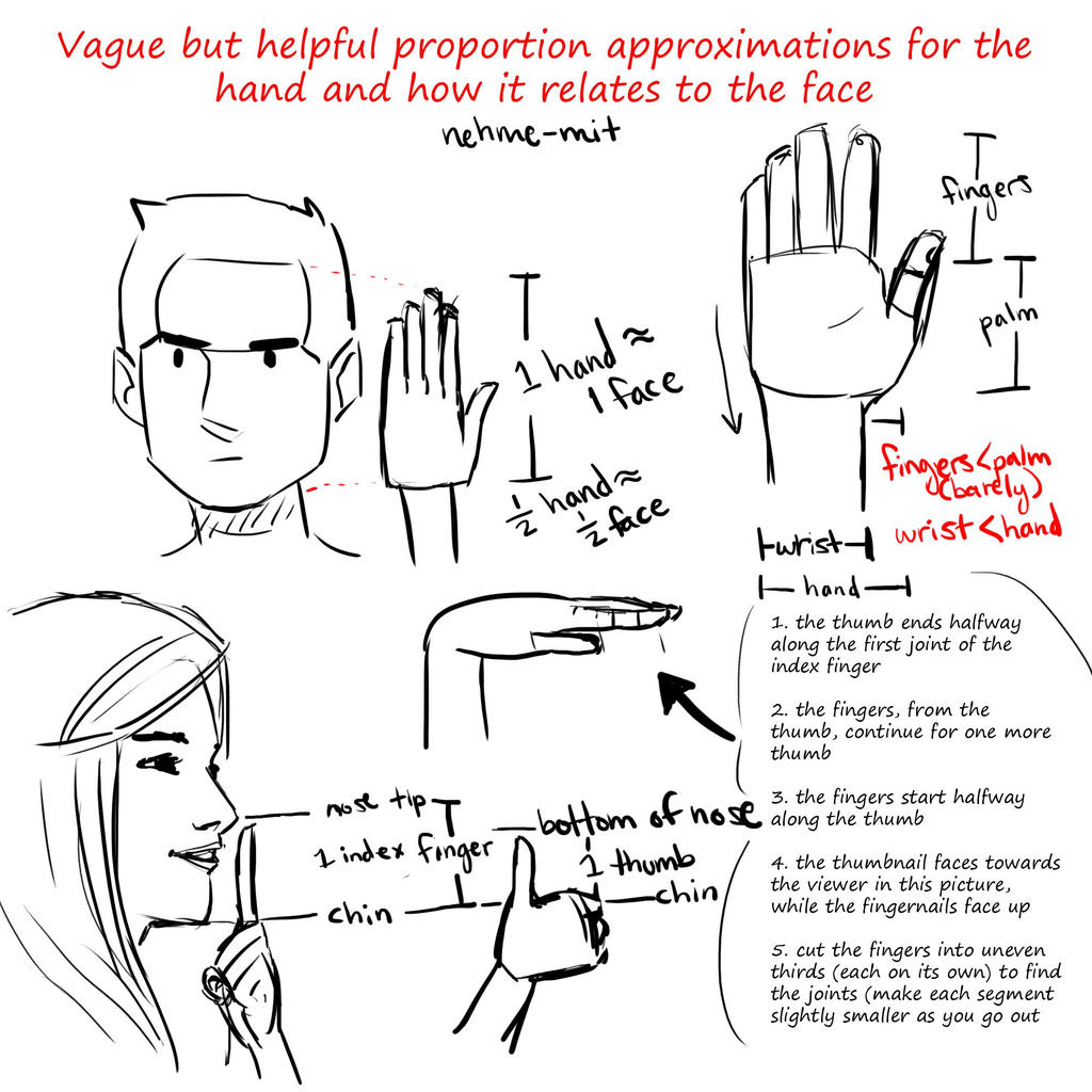 Hand Approximation Approximate Hand Proportions by lesRGmunom on DeviantArt