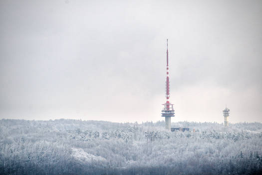 Snowy day