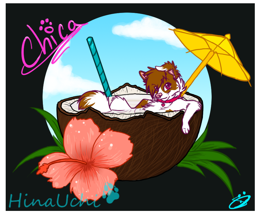 Chica's Coconut