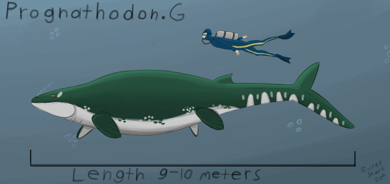 Prognathodon Prognathodon giganteus by EvilerShark204 on DeviantArt