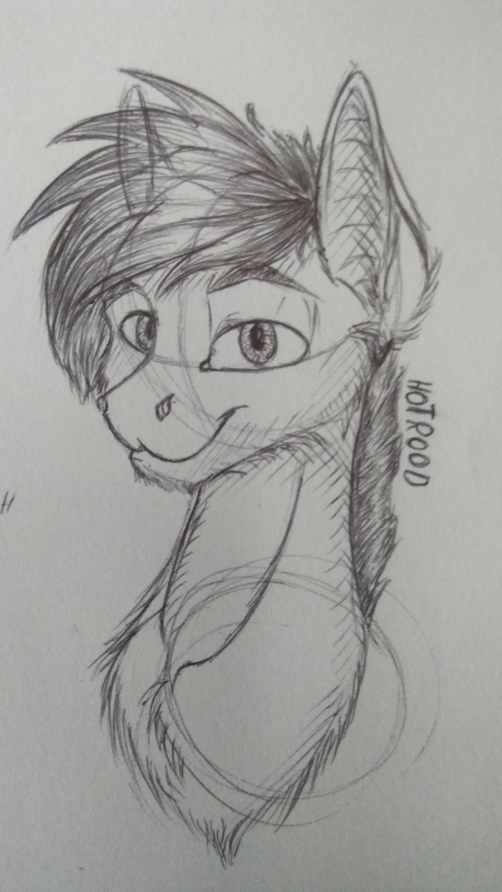 Random pone