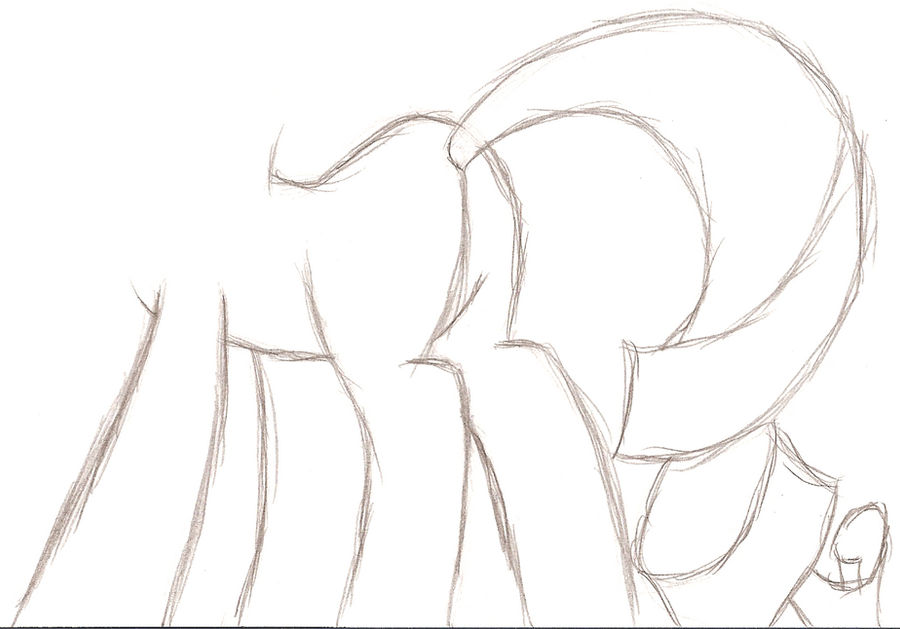 Rarity plot and tail practice