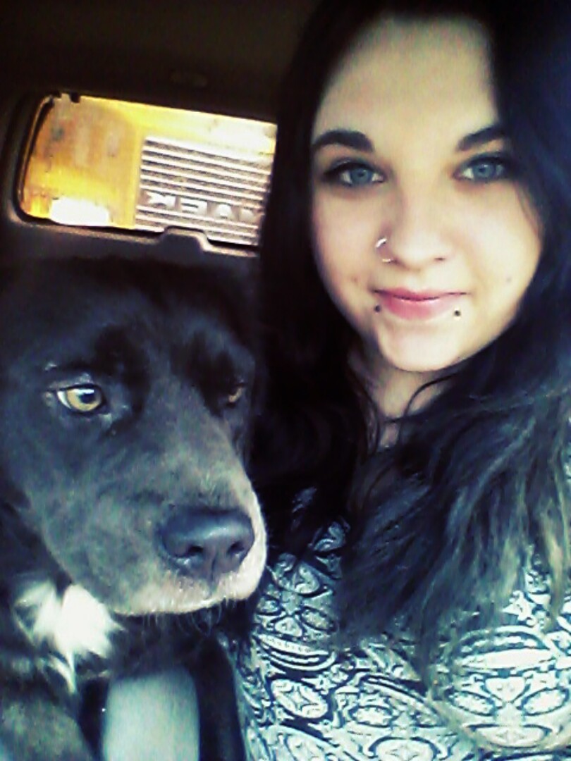 My baloo bear by CharlieQuinzel on DeviantArt