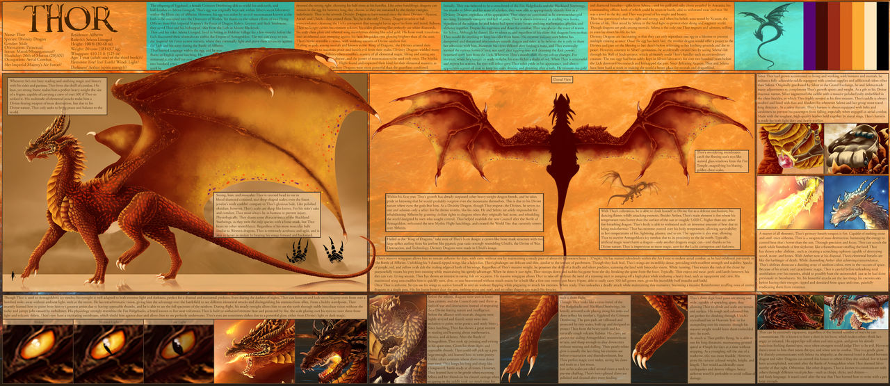 Thor Refrence Thor Reference Sheet by Kryslara on DeviantArt