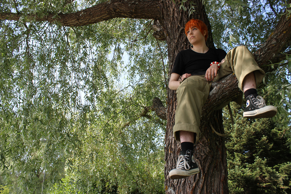 Kyo in a tree