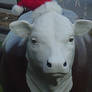 Christmas Cow