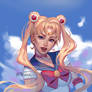 Prize: Sailor Moon