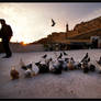 Symbols of Mardin