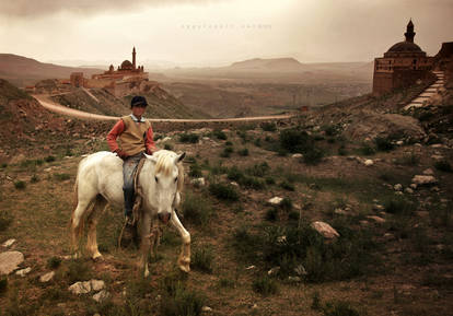 prince on a white horse