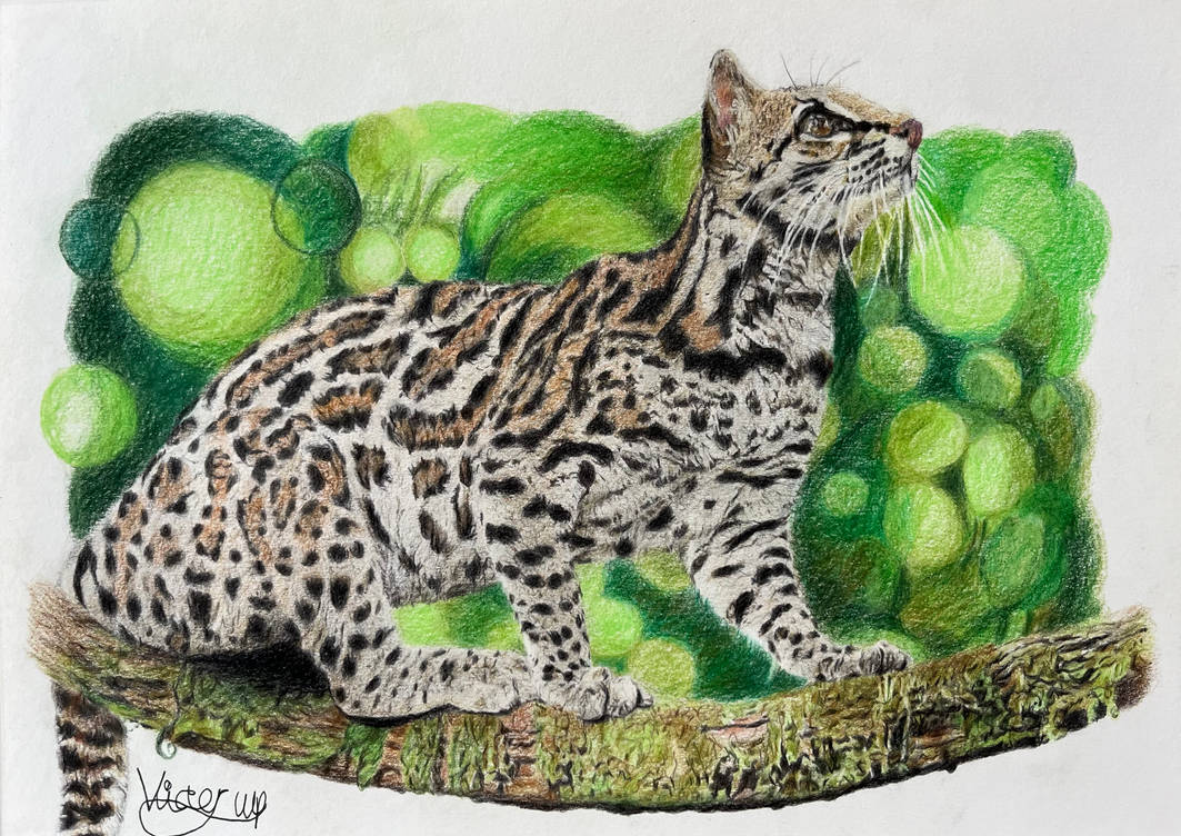 Abstract Ocelot The Ocelot by The-Long-Feline on DeviantArt