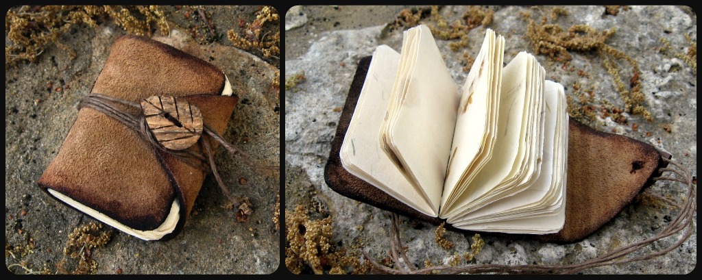 Little Nature Book