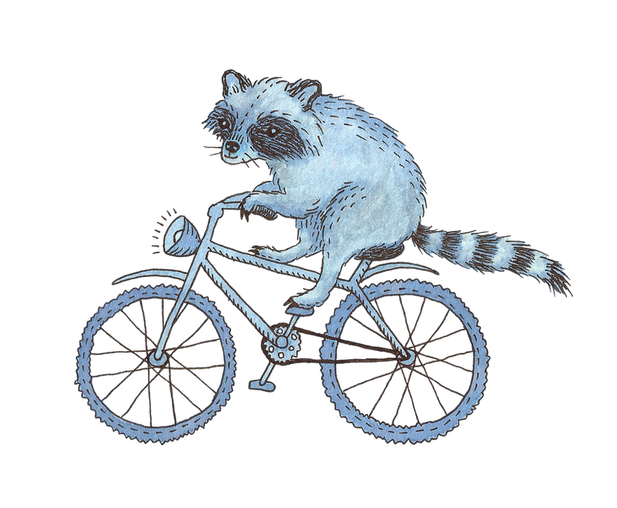 Raccoon on a Bicycle
