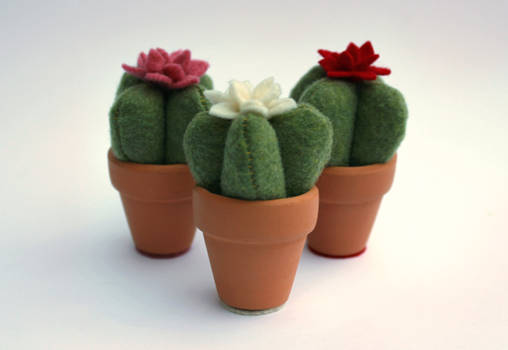 Cactus Valentines