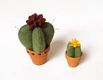 Custom Felt Cacti for Sale! by MadeleiZoo