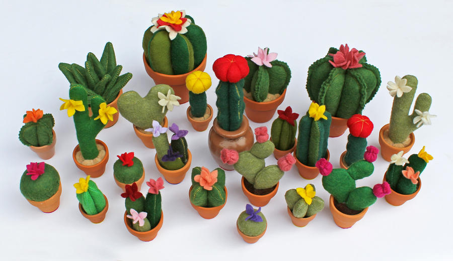 Cactus Party!