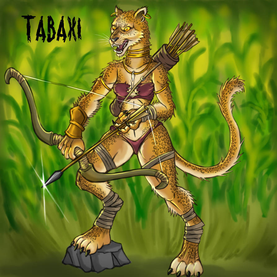 Tabaxi By JSochart On DeviantArt