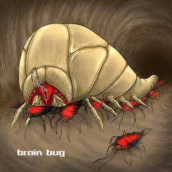 Brain Bug