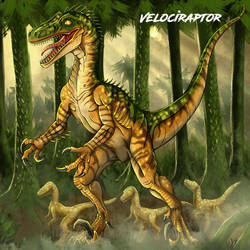 Velociraptor