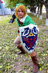 Link- TLoZ