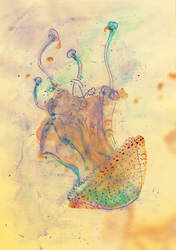 Jellyfish Art 2