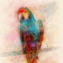 Rainbow Parrot