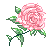 [Icon] Rosewater