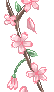 F2U Sakura Deco
