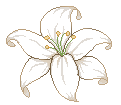 pixel white lily